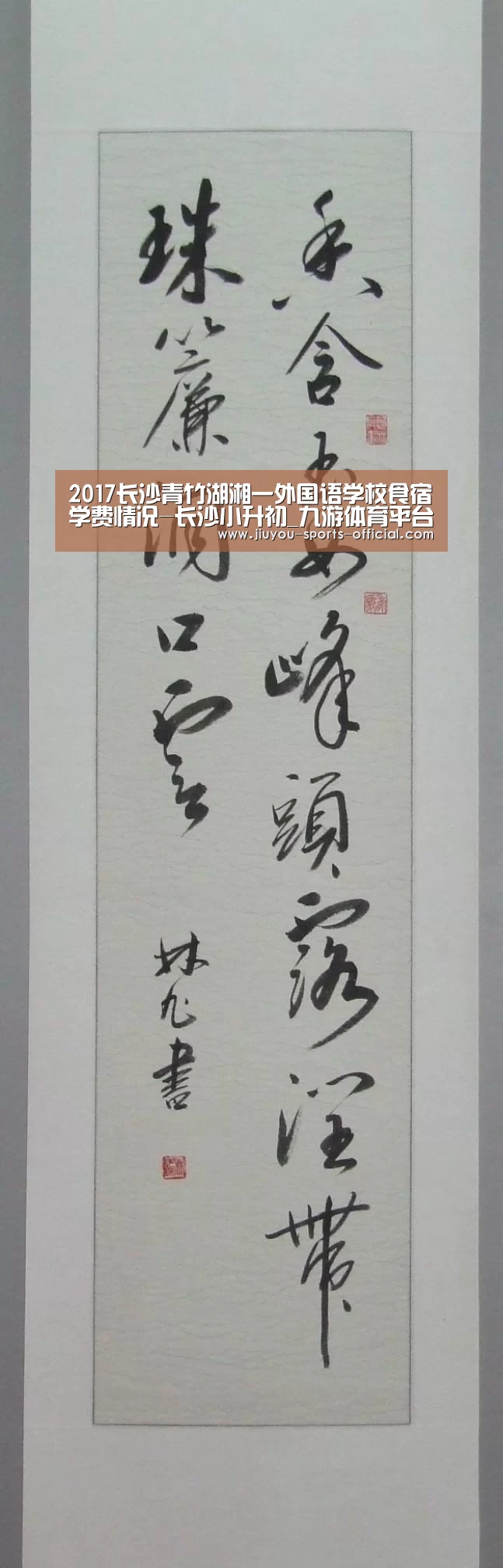 九游体育官网