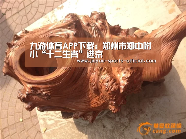 九游体育APP下载:郑州市郑中附小“十二生肖”进京(图1) 九游体育APP下载