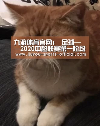九游体育官网:
足球——2020中超联赛第一阶段第14轮集锦(图2) 九游体育官网
