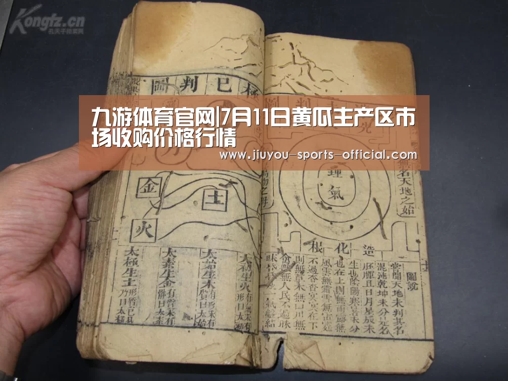 九游体育官网|7月11日黄瓜主产区市场收购价格行情(图3) 九游体育平台