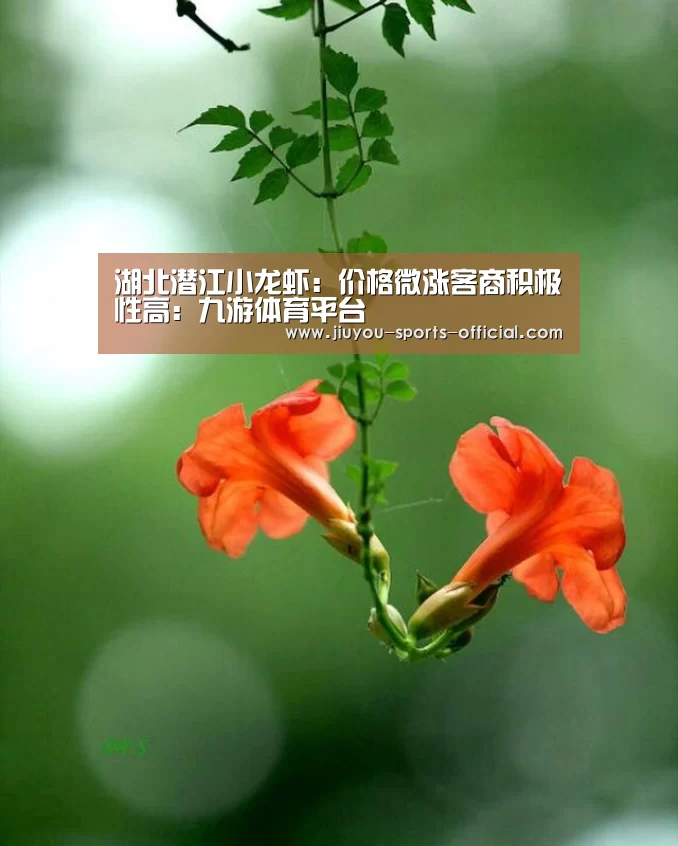 湖北潜江小龙虾:价格微涨客商积极性高:九游体育平台(图3) 九游体育官网