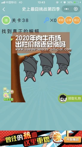 2020年肉牛市场出栏价格还会涨吗?为什么?“九游体育”(图1) 九游体育APP下载